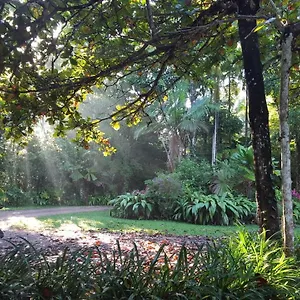  Holiday home Fanpalm Creek Hideaway Australia